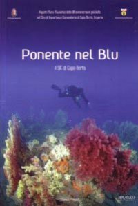 'Ponente nel Blu'