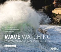 'WAVE WATCHING' LO SPETTACOLO DELLE MAREGGIATE IN LIGURIA