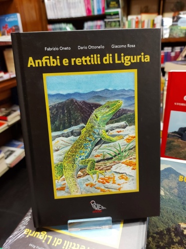 'ANFIBI E RETTILI DI LIGURIA'